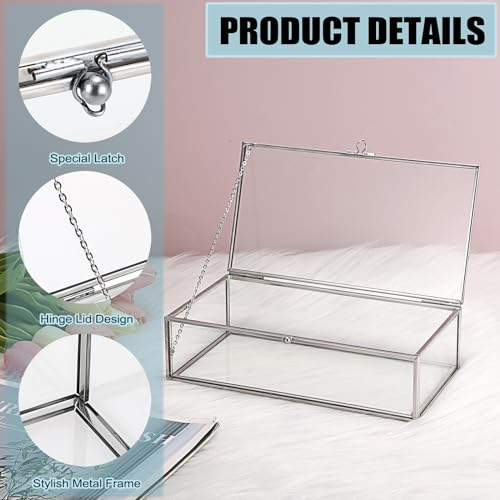 Hipiwe Glass Keepsake Display and Jewelry Organizer With Lid - Silver Decorative Clear Rectangle Storage for Trinket Perfu...