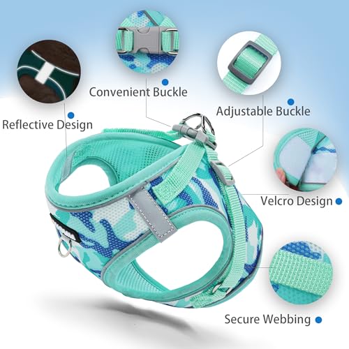 Jolifield Step in Dog Harness with Leash Set, Adjustable Soft Padded and Breathable Mesh for Small Sized Dog, Reflective N...