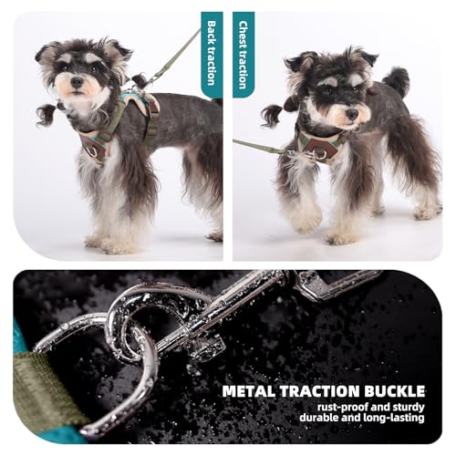 Small Dog Harness and Leash Set, Breathable Mesh Puppy Harness, Adjustable Dog Harness for Small Medium Large Dogs, No-Pul...