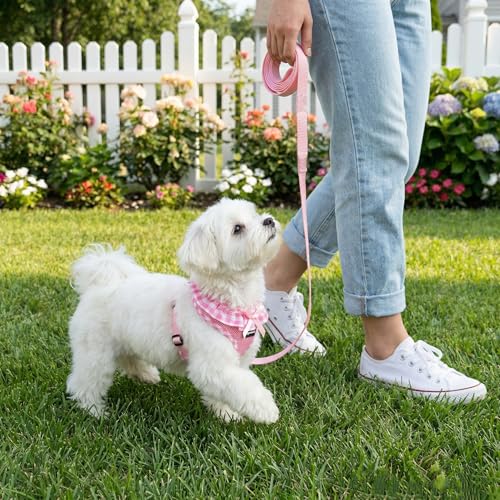 SuperBuddy Upgraded Soft Mesh Dog Harness, Super Breathable Lightweight Pet Harnesses for Puppy Dogs Outdoor Walking, Pink...