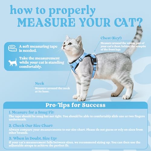rabbitgoo Cat Harness and Leash for Walking, Escape Proof Soft Adjustable Vest Harnesses for Cats, Easy Control Breathable...