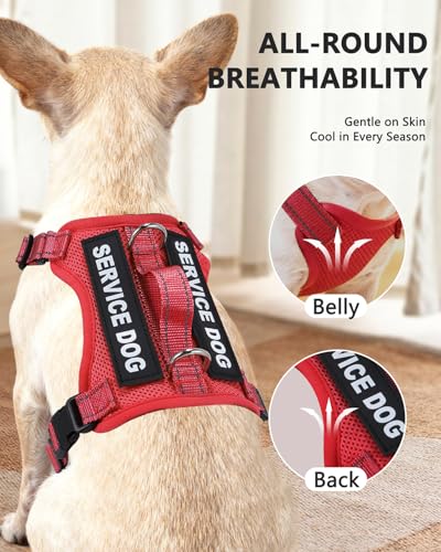 Service Dog Vest for Small Breed Dogs with ID Tag – Lightweight Puppy Harness and Leash Set with 6 PCS Patches, Ideal Serv...