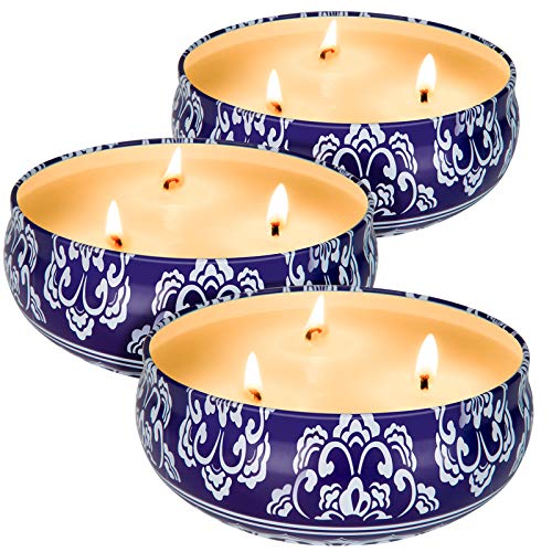 Citronella Candles Outdoor and Indoor 3 x 13.5 Oz,3 Wick Scented Candles Gift Set,Aromatherapy Candles Natural Soy Wax Can...