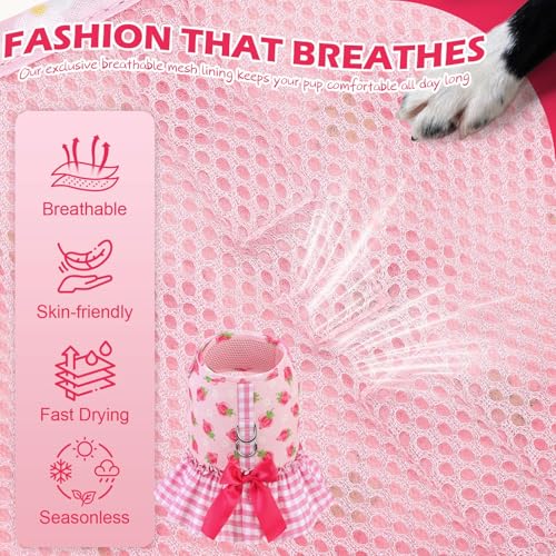 EXPAWLORER Dog Harness Small Medium Sized Dogs, Plaid Dog Dress Bowknot Harness and Leash Set, No Choke No Pull Soft Mesh ...