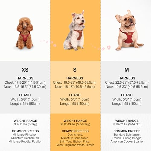 Beirui ‌Stylish PU Leather Dog Harness‌ and Leash Set for Small Dogs, ‌Adjustable Step in Dog Vest Harness with Breathable...