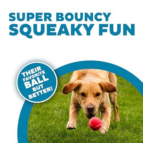 Outward Hound Squeaker Ballz – Squeaky Tennis Balls for Dogs Under 50 lbs, Interactive Dog Toy for Fetch & Training, Mediu...