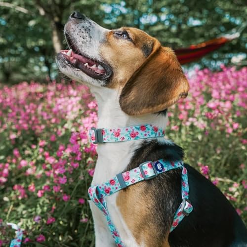 Blueberry Pet Essentials Spring Scent Inspired Garden Floral Dog Leash in Pastel Blue, 5 ft x 3/4", Medium, Leashes for Dogs