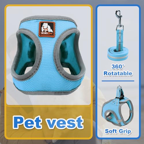 Dog Harness Medium Sized Dogs, Puppy Harness and Leash Set for Training, Running, Walking, Suitable for Small and Medium D...