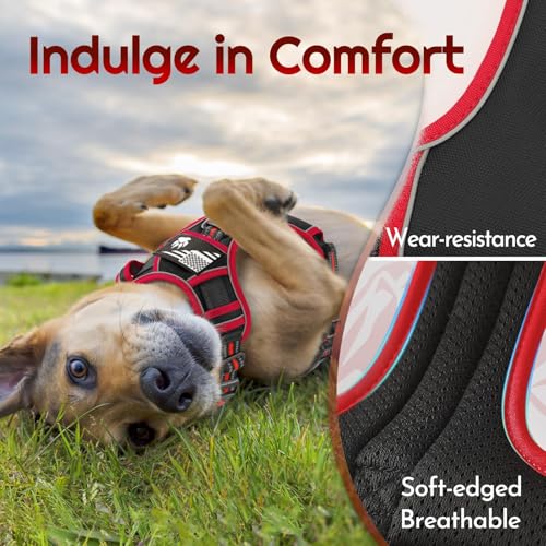 Eagloo Dog Harness for Large Dogs, Easy Wearing with 3 Buckles, Adjustable No Pull Pet Harness with 2 Rings for Walking, N...