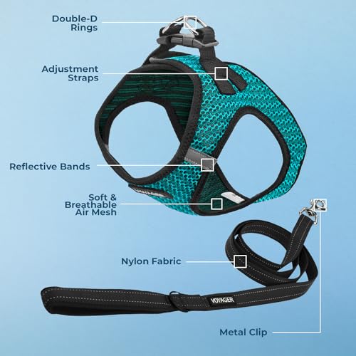 Best Pet Supplies Voyager Step-in Air All Weather Mesh Harness and Reflective Dog 5ft Leash Combo with Neoprene Handle, fo...