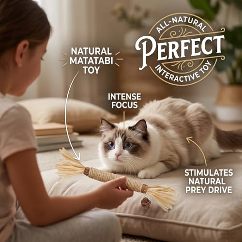 GREMBEB Cat Toys 3Pack Silvervine Chew Stick Kitten Treat Catnip Toy Kitty Natural Stuff Catnip Matatabi for Cleaning Teet...