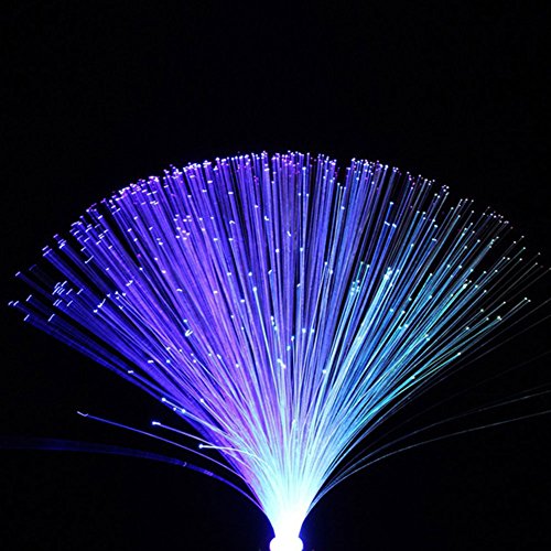 Fiber Optic Lamp, LED Colourful Changing Fiber Optic Fountain Night Light, Novelty Battery Powered Bedside Mood Lamp for C...