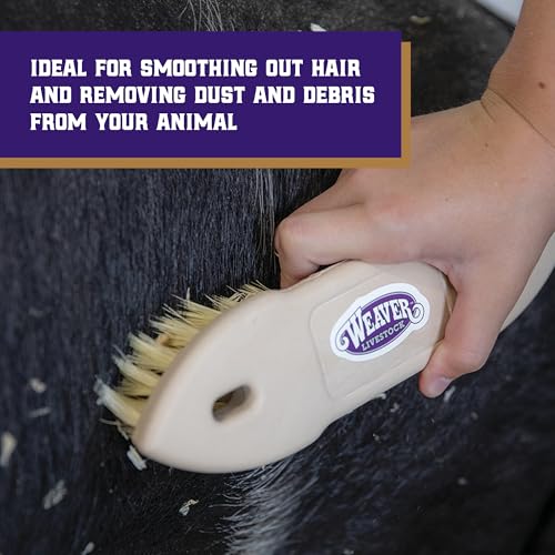 Weaver Livestock Tampico Pig Brush, Plastic Grooming Brush for Dirt Removal, Soft Bristle Tampico Brush for Smooth Hair, D...