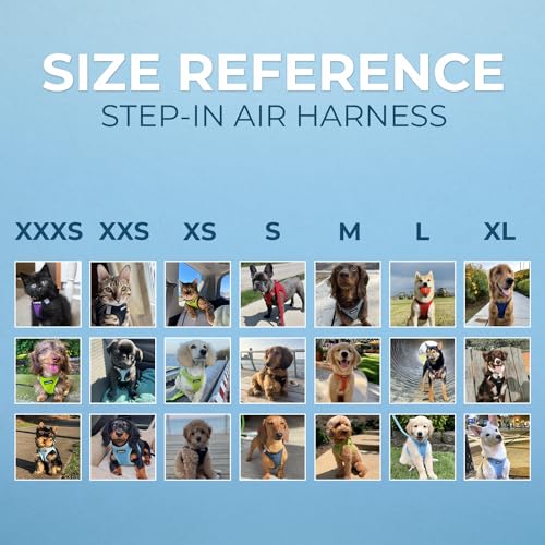 Best Pet Supplies Voyager Step-in Air Harness - All Weather Mesh, Reflective, No Pull Harness for Dogs, Cats - Secure with...