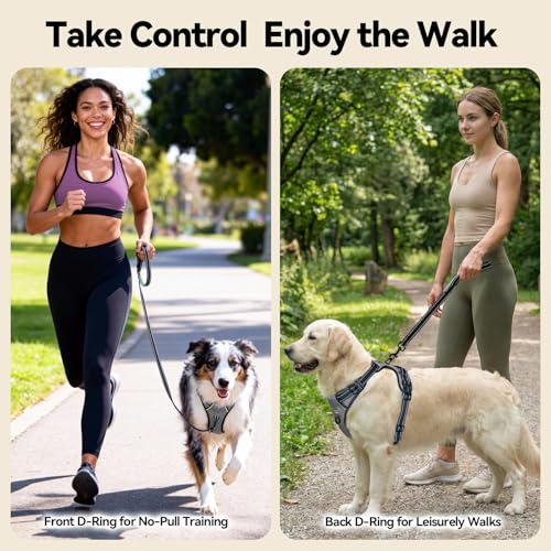 PHOEPET No Pull Dog Harness Medium Reflective Front Clip Vest with Handle, Adjustable 2 Metal Rings 2 Buckles(M, Grey)