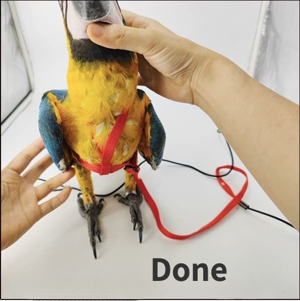 Adjustable Bird Harness with 78.7 Inch Leash, Outdoor Flying Training Rope Kit for Bird Parrots, Parrot Flying Rope Straps...