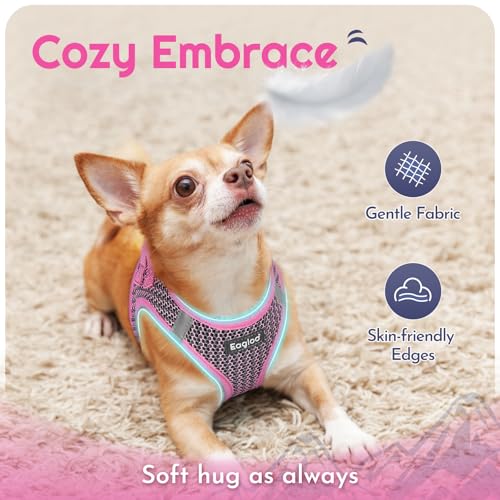 Eagloo Small Dog Harness and Leash Set, Step in Puppy Vest with Breathable Soft Mesh, Walking Reflective Pet Harness for S...