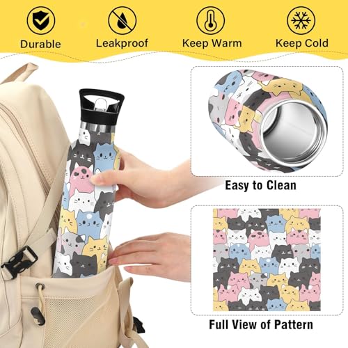 Cats Cute Animal Water Bottles for Boys Kids Stainless Steel Thermos Bottle Cups with Straw Lid Leakproof Insulated Flask ...