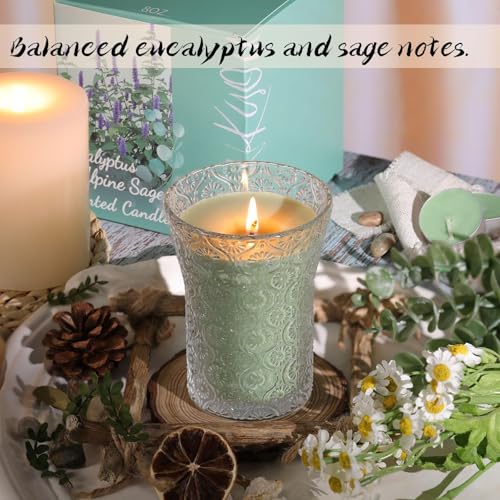 HAVITI Eucalyptus & Alpine Sage Scented Candle, Galentines Valentines Mother's Day Soy Jar Candles Gift Men Women,8 OZ Aro...