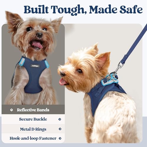 rabbitgoo Dog Harness Small Sized and Leash Set, Step in Soft Light Puppy Vest, Breathable Mesh Pet Harness, Reflective fo...