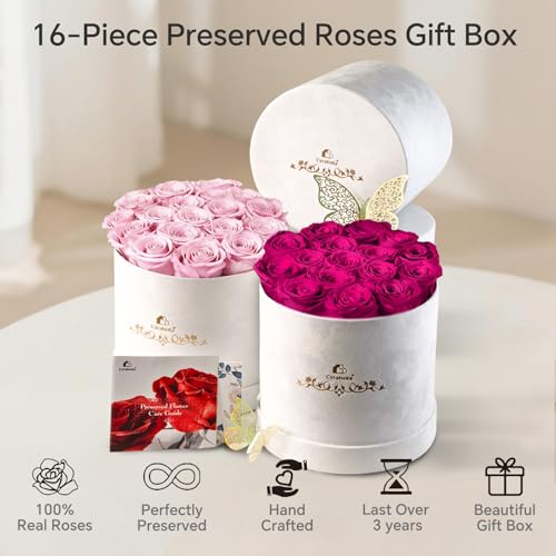 Cyrabota 16 Preserved Roses in a Box, Preserved Flowers Gifts for Women, Forever Flowers for Delivery, Flower Birthday Gif...