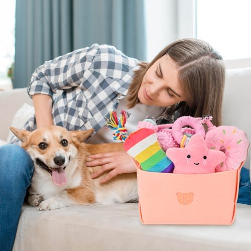 Ousiya 12 Pack Puppy Toys for Teething, Small & Medium Dogs – Chew Toys, Rope Toys & Interactive Dog Toys Set with Storage...