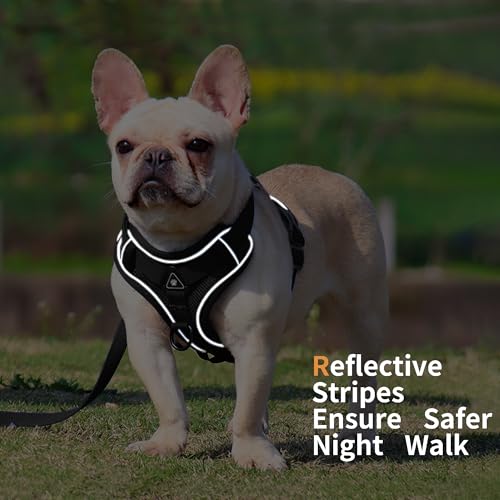 Jolifield No Pull Dog Harness with Leash Set for Small Sized Dog, Reflective Adjustable No Choke Cat Vest HarnessSoft Padd...