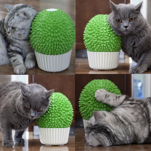 Miwoowim Catnip Feeder - Cat Face Scratcher Wall Corner Massage Comb for Indoor Cats Self Grooming Brush (Green)