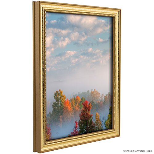 Craig Frames 12x18 Ornate Gold Picture Frame, 0.75" Wide, Decorative Photo Frame