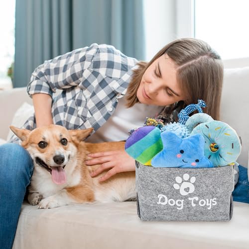 Ousiya 12 Pack Puppy Teething Toys Set - Small Breed Chew Toys with Storage Case, Suitable for Puppies 8 Weeks