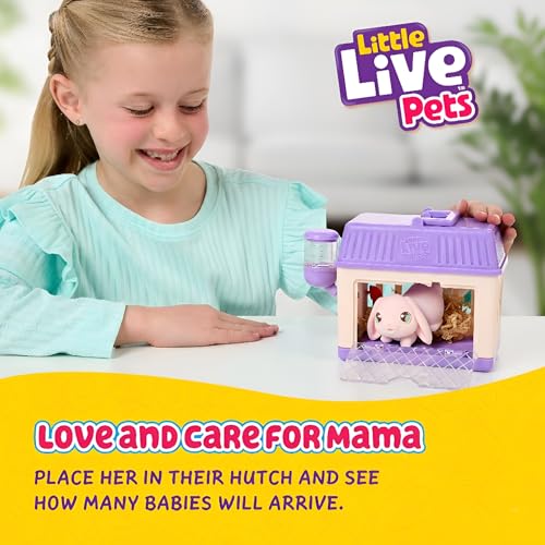 Little Live Pets Bunny Mini Interactive Live Pet Toy Set, Hutch Animal Playset with 3 Surprise Babies, 20+ Sounds, Bunny A...