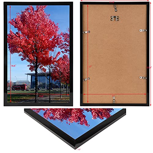 Medog 11x17 Picture Frame in Black, Display pictures 11x17 Poster Frame, Wall Sign Poster Menu Photo Frames, 1 Pack