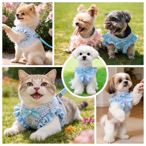 ABRRLO Small Dog Harness and Leash Set Soft Breathable Mesh No Pull Puppy Harness with Bowknot Adjustable Cute Blue Dog Ve...