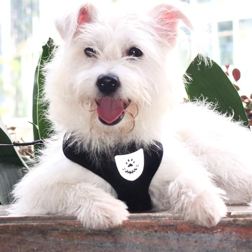 Hypeety Pet Dog Vest Harnesses Puppy Cotton Polyester Adjustable Dog Mesh Harness Travel Chest Strap Vest Reflective (S, B...
