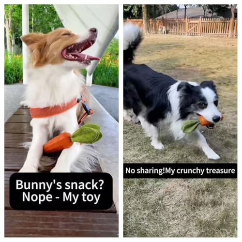MewaJump Dog Squeaky Chew Toys for Aggressive Chewers, Rubber Carrot Dog Toys for Training and Cleaning, Durable Interacti...
