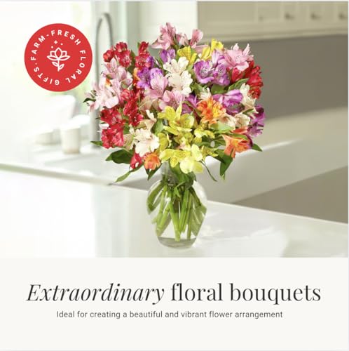 24 Multicolored Alstroemeria Bouquet Flowers, Long Lasting & Hand-Tied, Farm Fresh Cut Flowers Bouquet - Gift for Birthda...