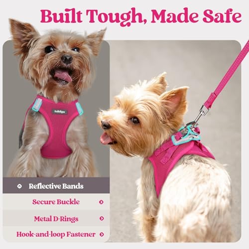 rabbitgoo Dog Harness Small Sized and Leash Set, Step in Soft Light Puppy Vest, Breathable Mesh Pet Harness, Reflective fo...