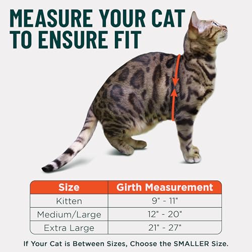 Houdini™ Escape Proof Cat Harness and Leash Set by OutdoorBengal – Black, Medium Cat Harness for Walking