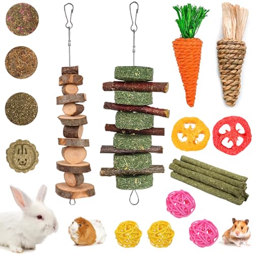 Grddaef 20 PCS Bunny Chew Toys for Teeth, Natural Rabbit Toys Apple Wood Grass Timothy Sticks Chew and Treat for Guinea Pi...