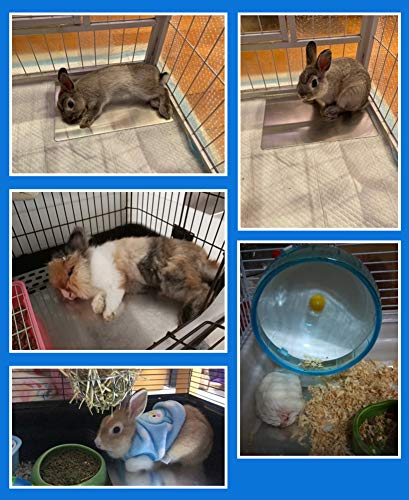 Comtim Rabbits Cooling Mat, Self Cooling Mat Pad for Hamster Guinea Pig Chinchilla Bunny Kitten Cat and Other Small Animal...