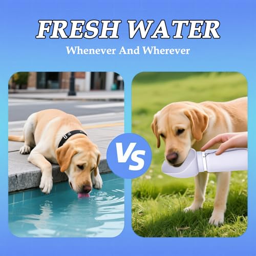 Dog Water Bottle, Silicone Foldable Bottle for Pets, Portable Pet Water Dispenser, Outdoor Travel Dog Drink, Walking Cat D...