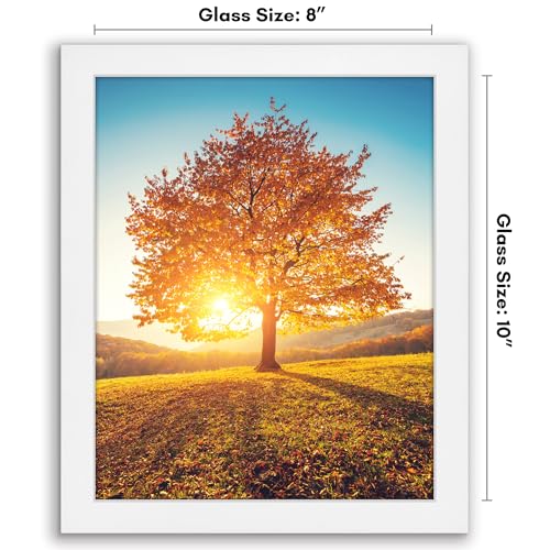 Americanflat 8x10 Picture Frame with Shatter-Resistant Glass - Signature Collection - Gallery-Style Frames Made of Enginee...