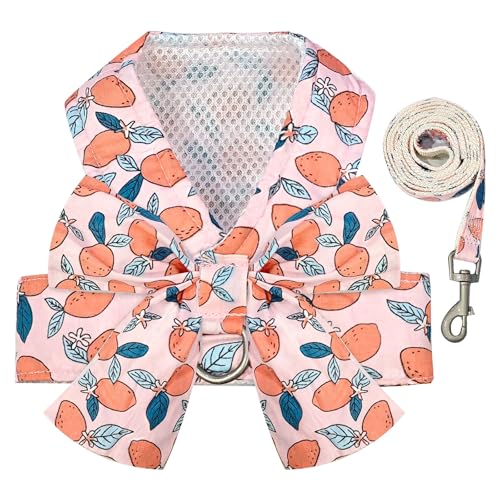 BAEJMJK Dog Harness and Leash Set with Bow Knot No Pull Pet Floral Harness with D-Ring Soft Mesh Dog Harness Vest Set Esca...