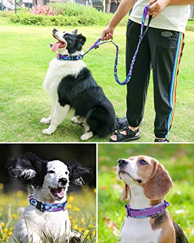 Hotsky Tactical Dog Collar and Leash Set, Heavy Duty Military Airtag Dog Collar with Handle and Metal Buckle for Training ...