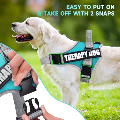 Dog Vest Harness and Leash Set, Animire Reflective Service Dog Vest in Training Dog Harness with 10 Patches, 3 Rings Emoti...