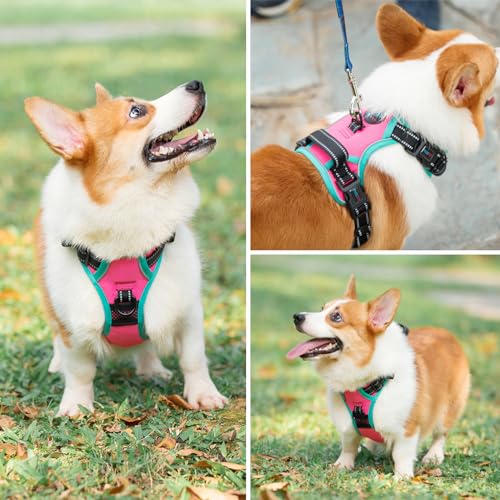 PHOEPET 2019 Upgraded No Pull Dog Harness, Reflective Adjustable Vest, with a Training Handle + 2 Metal Leash Hooks+ 3 Sna...