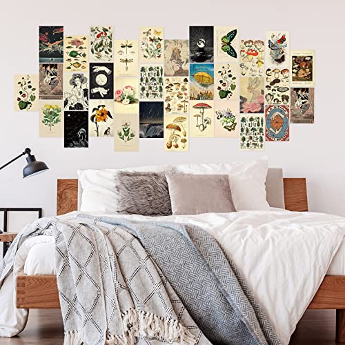 Containlol 60 Pcs Vintage Wall Collage Kit Maximalist Paintings Art Prints Botanical Illustration Tarot Aesthetic Vintage ...
