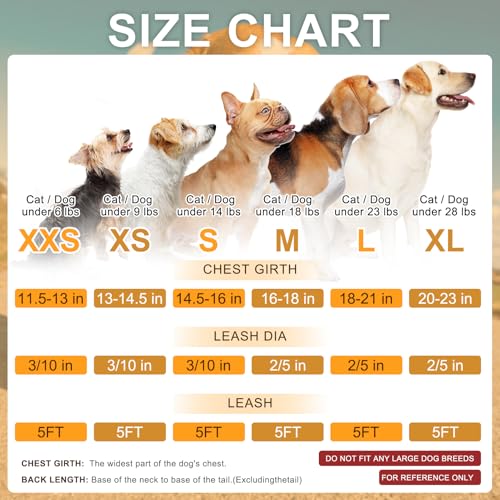 BEAUTYZOO Step in Dog Harness and Leash Set, Floral Pattern Reflective Dog Harness No Pull No Choke Puppy Harness for XXS ...