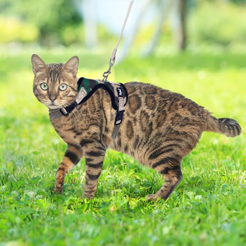 PUPTECK Cat Harness and Leash Set Escape Proof, Reflective Adjustable Soft Mesh Kitten Vest Harness for Walking Travel, Ca...
