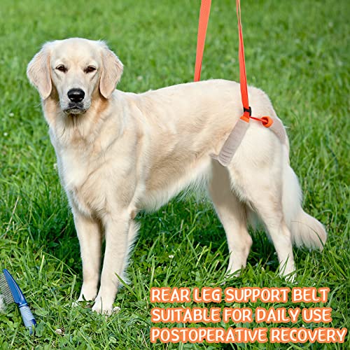 Mixweer 2 Pcs Dog Support Harness for Back Legs Dog Rear Lifting Sling Aid with Handle and Shoulder Strap Hind Leg Support...